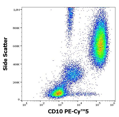 Anti-Hu CD10 PE-Cy™5