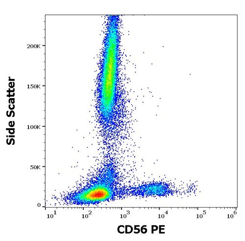 Anti-Hu CD56 PE