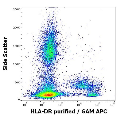 Anti-HLA-DR Purified Low Endotoxin