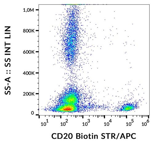 Anti-Hu CD20 Biotin