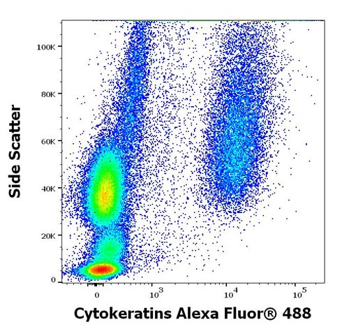 Anti-Cytokeratins FITC