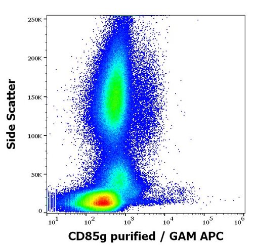 Anti-Hu CD85g Purified