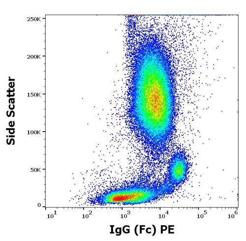 Anti-Hu IgG (Fc) PE