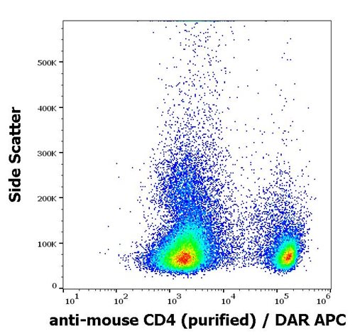 Anti-Ms CD4 Purified