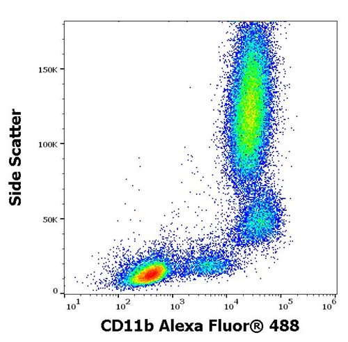 Anti-Hu CD11b Alexa Fluor<sup>®</sup> 488