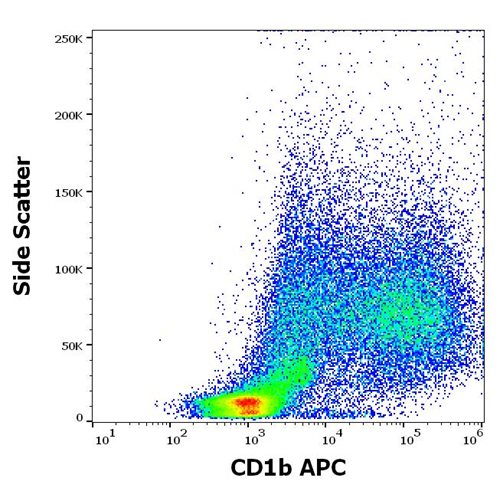 Anti-Hu CD1b APC