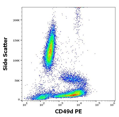 Anti-Hu CD49d PE