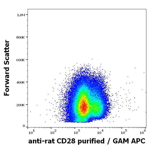 Anti-Rt CD28 Purified