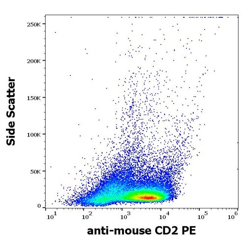 Anti-Ms CD2 PE