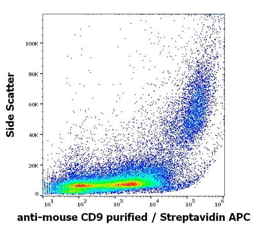 Anti-Ms CD9 Biotin