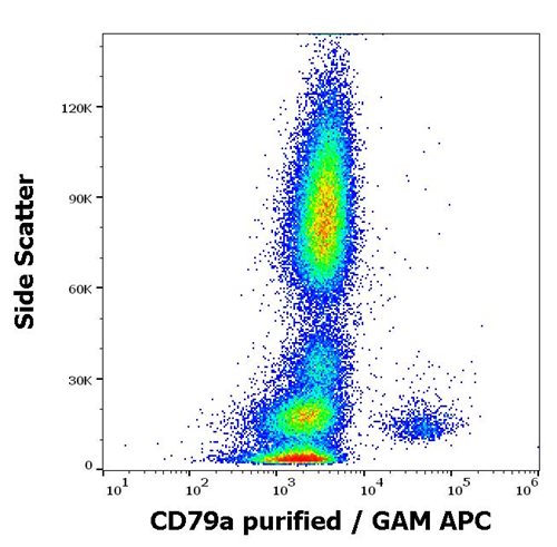 Anti-Hu CD79a Purified