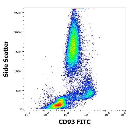 Anti-Hu CD93 FITC