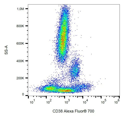 Anti-Hu CD38 Alexa Fluor<sup>®</sup> 700