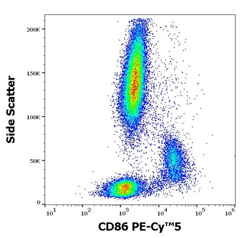 Anti-Hu CD86 PE-Cy™5