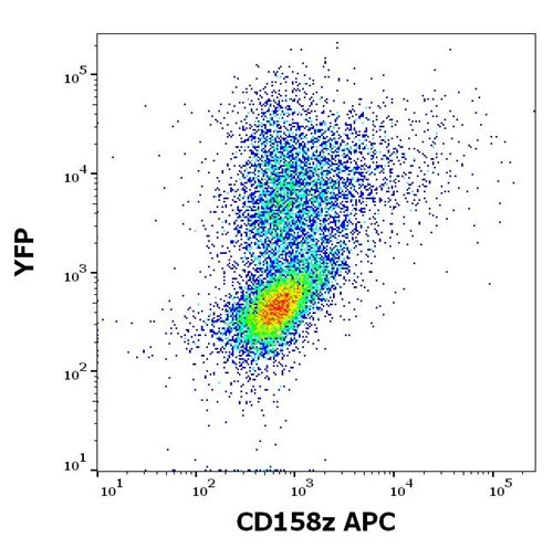 Anti-Hu CD158z APC