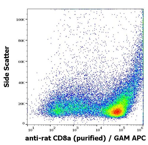 Anti-Rt CD8a Purified