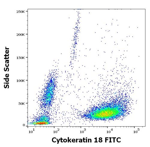 Anti-Cytokeratin 18 FITC