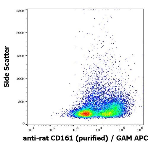 Anti-Rt CD161 Purified