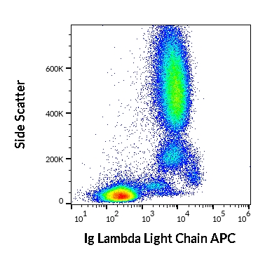 Anti-Hu Ig Lambda Light Chain APC