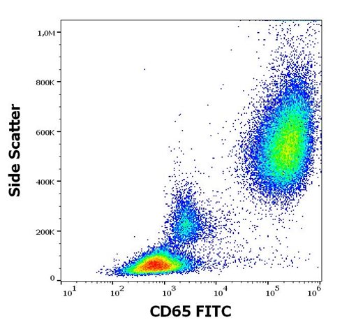 Anti-Hu CD65 FITC