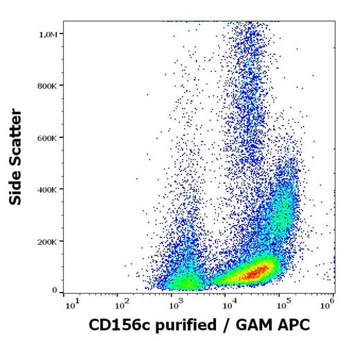 Anti-Hu CD156c Purified