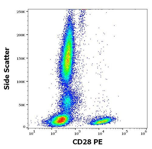 Anti-Hu CD28 PE