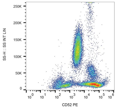 Anti-Hu CD52 PE