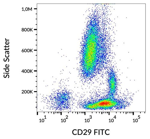 Anti-Hu CD29 FITC