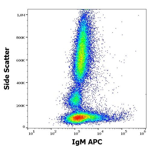 Anti-Hu IgM APC