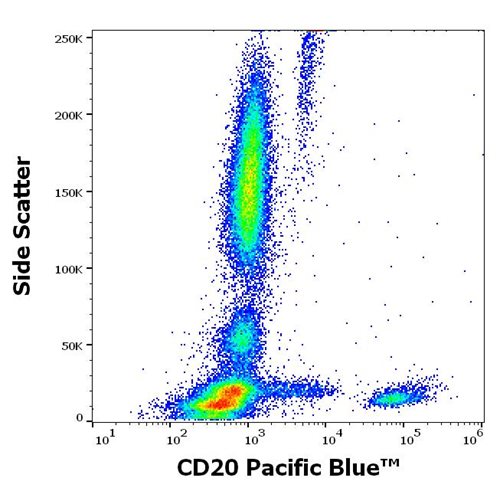 Anti-Hu CD20 Pacific Blue™