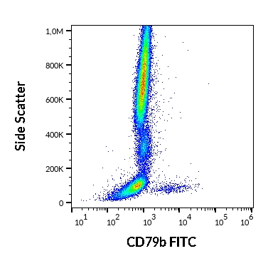 Anti-Hu CD79b FITC