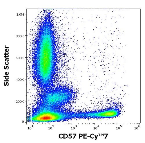 Anti-Hu CD57 PE-Cy™7