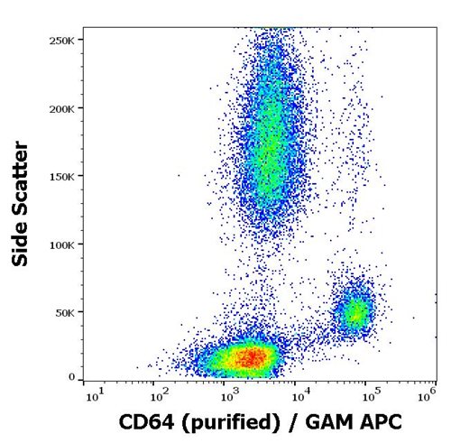 Anti-Hu CD64 Purified