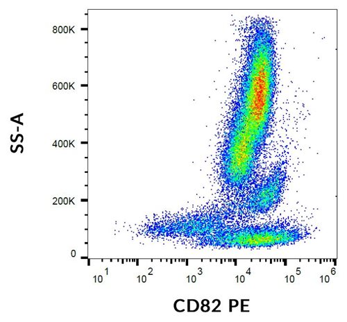 Anti-Hu CD82 PE