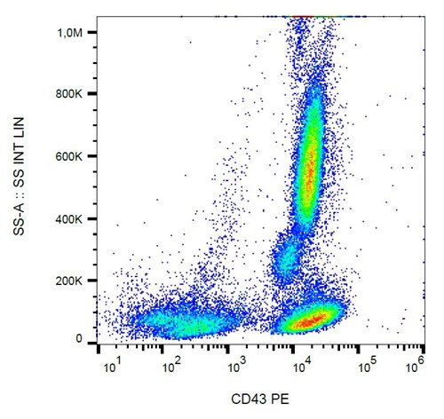 Anti-Hu CD43 PE