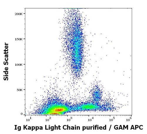 Anti-Hu Ig Kappa Light Chain Purified