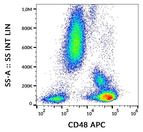 Anti-Hu CD48 APC