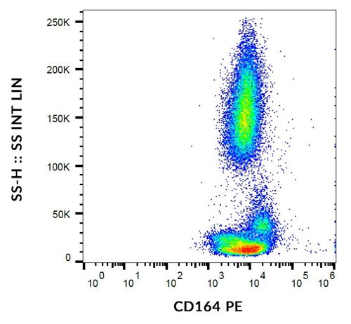 Anti-Hu CD164 PE