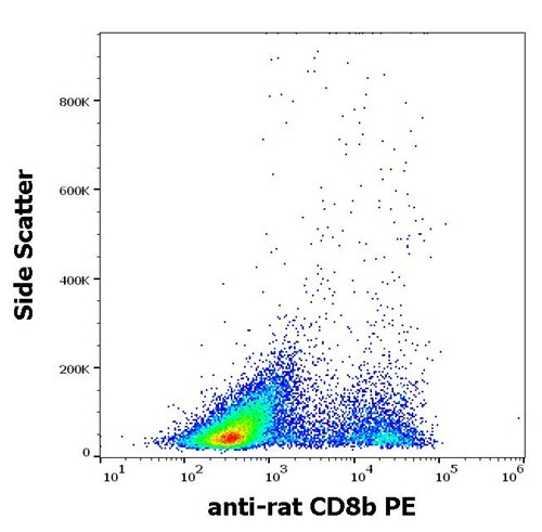 Anti-Rt CD8b PE