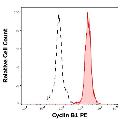 Anti-Cyclin B1 PE