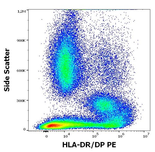 Anti-HLA-DR/DP PE