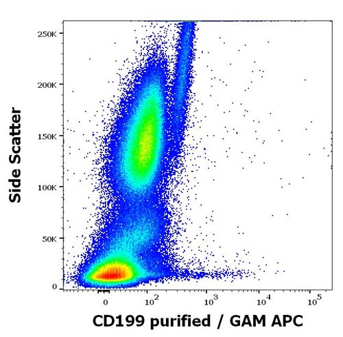 Anti-Hu CD199 Purified