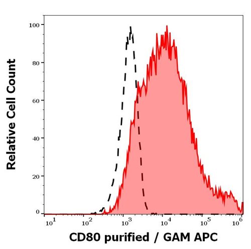 Anti-Hu CD80 Purified