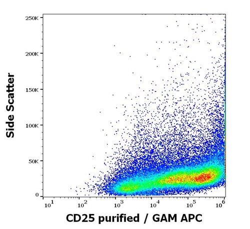 Anti-Hu CD25 Purified