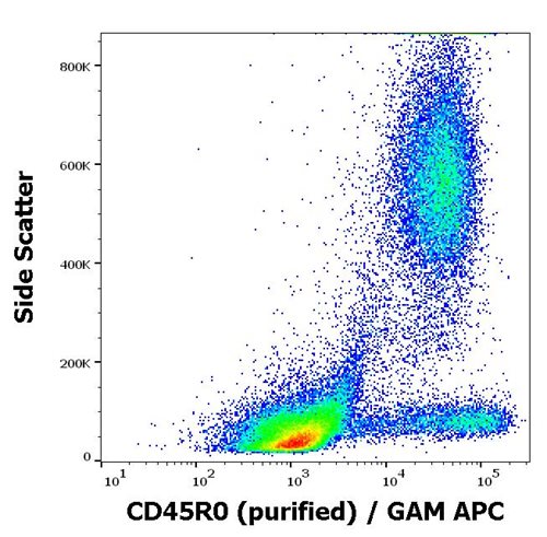 Anti-Hu CD45R0 Purified