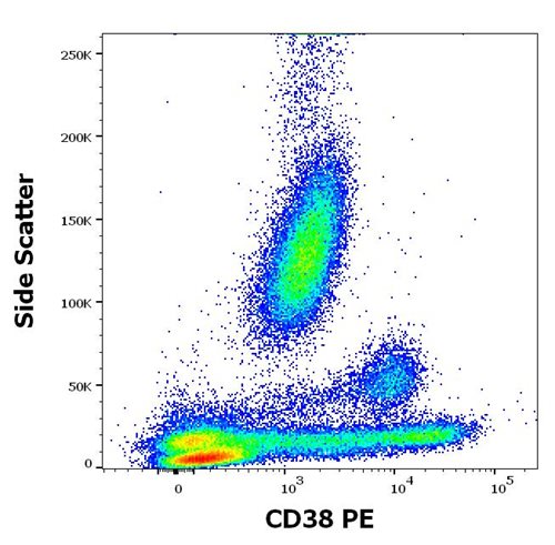 Anti-Hu CD38 PE