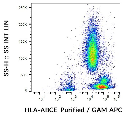 Anti-HLA-ABCE Purified