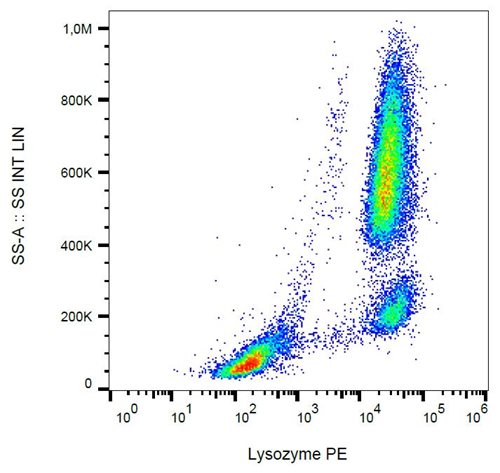 Anti-Lysozyme PE