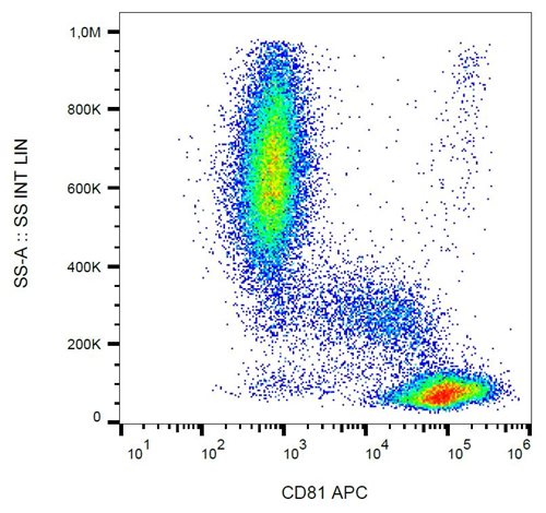 Anti-Hu CD81 APC