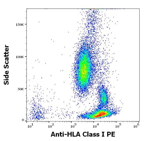 Anti-HLA Class I PE